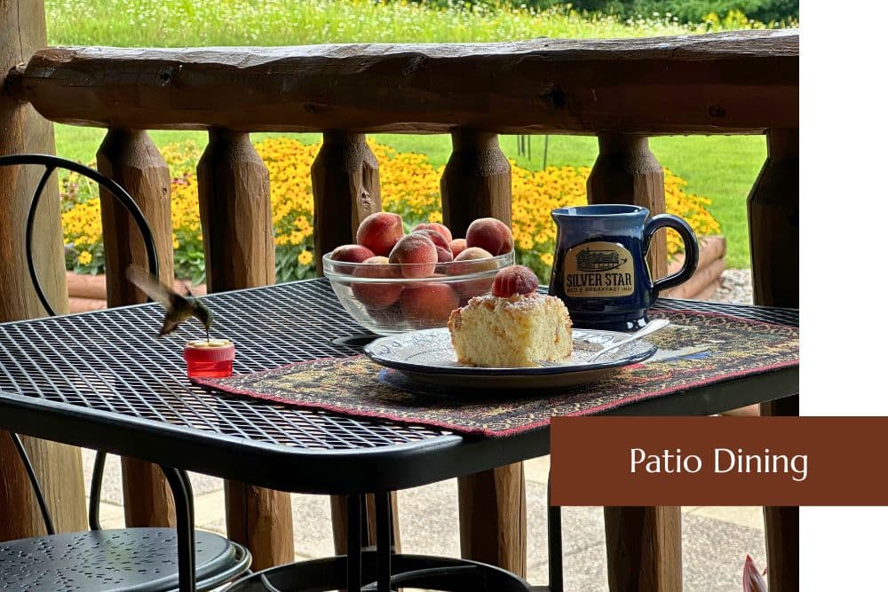 A table on a patio is set with a slice of cake, a bowl of apples, and a coffee mug, with a hummingbird hovering nearby.