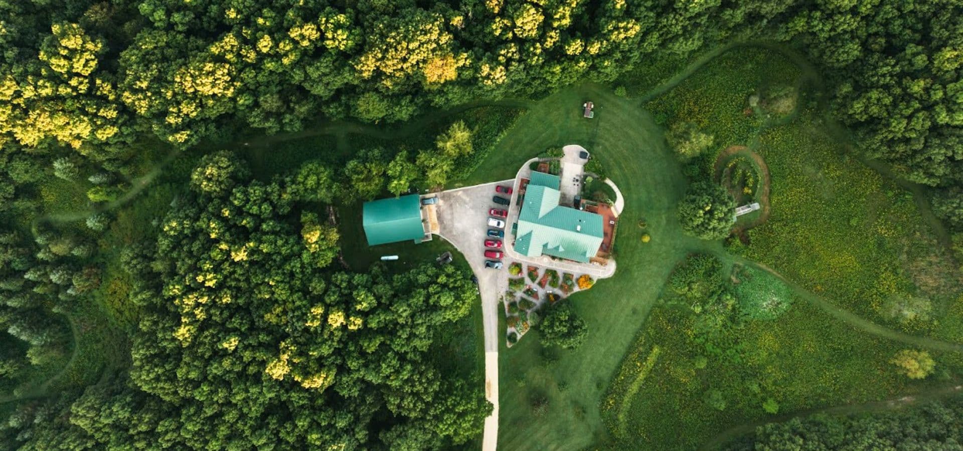 Aerial view of a house surrounded by lush greenery with a driveway and several parked cars.