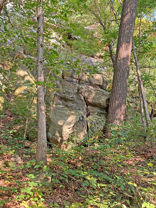 A rocky outcrop surrounded by trees in a lush, green forest.