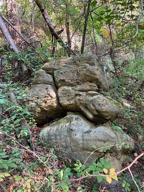 A large, irregularly shaped rock surrounded by greenery in a forested area.
