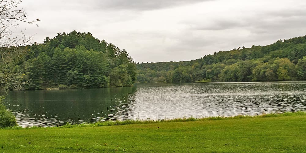 A calm lake surrounded by lush green trees under a cloudy sky.