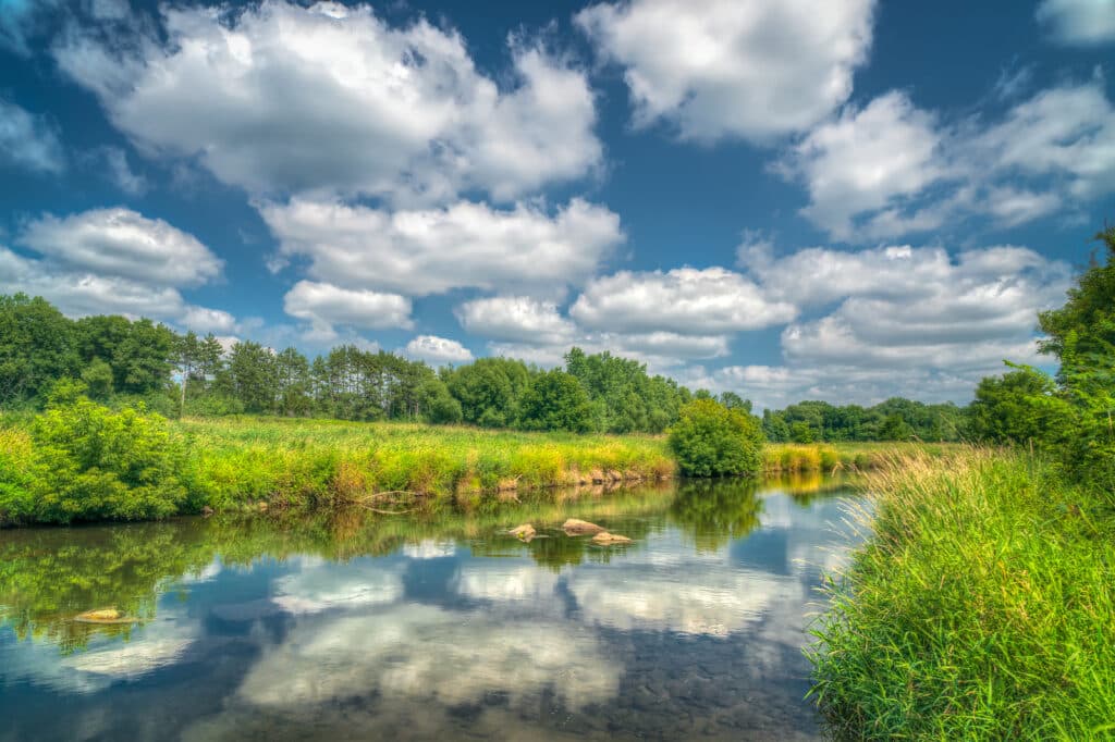 A serene river scene with lush greenery and fluffy clouds reflected in the water.
