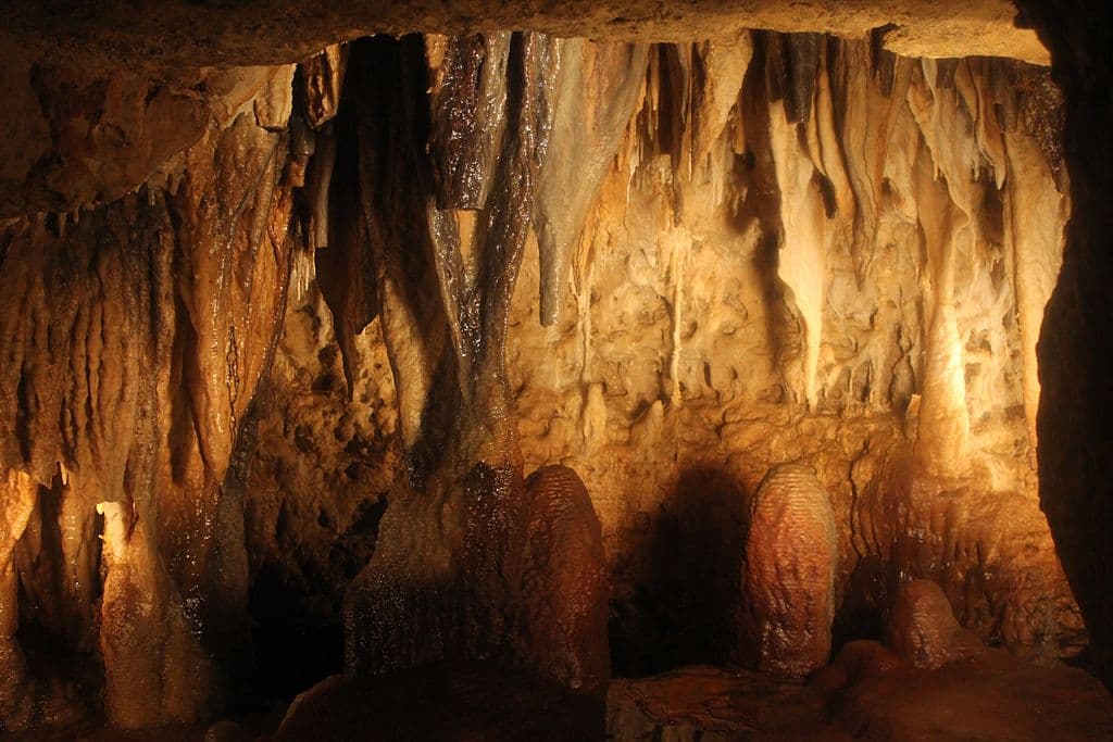 A dimly lit cave interior featuring stalactites and stalagmites against a rocky backdrop.