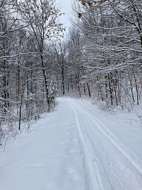 A snowy path winds through a forest of bare trees under a gray sky.
