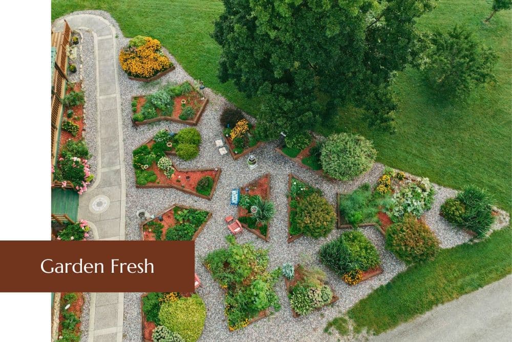Aerial view of a beautifully landscaped garden with colorful flower beds and pathways.
