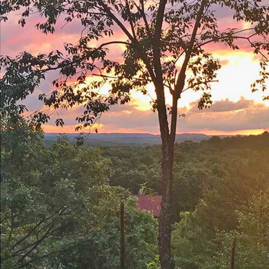 A tree silhouetted against a colorful sunset over rolling hills.