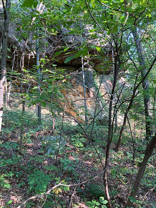A rocky outcrop is partially hidden among dense trees and vegetation.