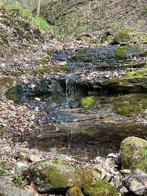 A small stream cascades over moss-covered rocks in a wooded area.