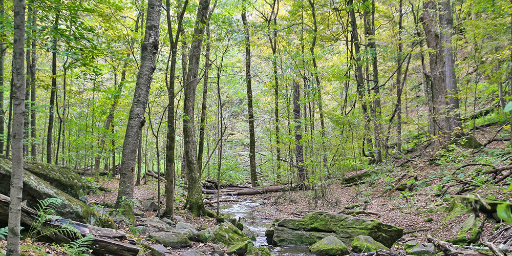 Governor Dodge State Park Wisconsin